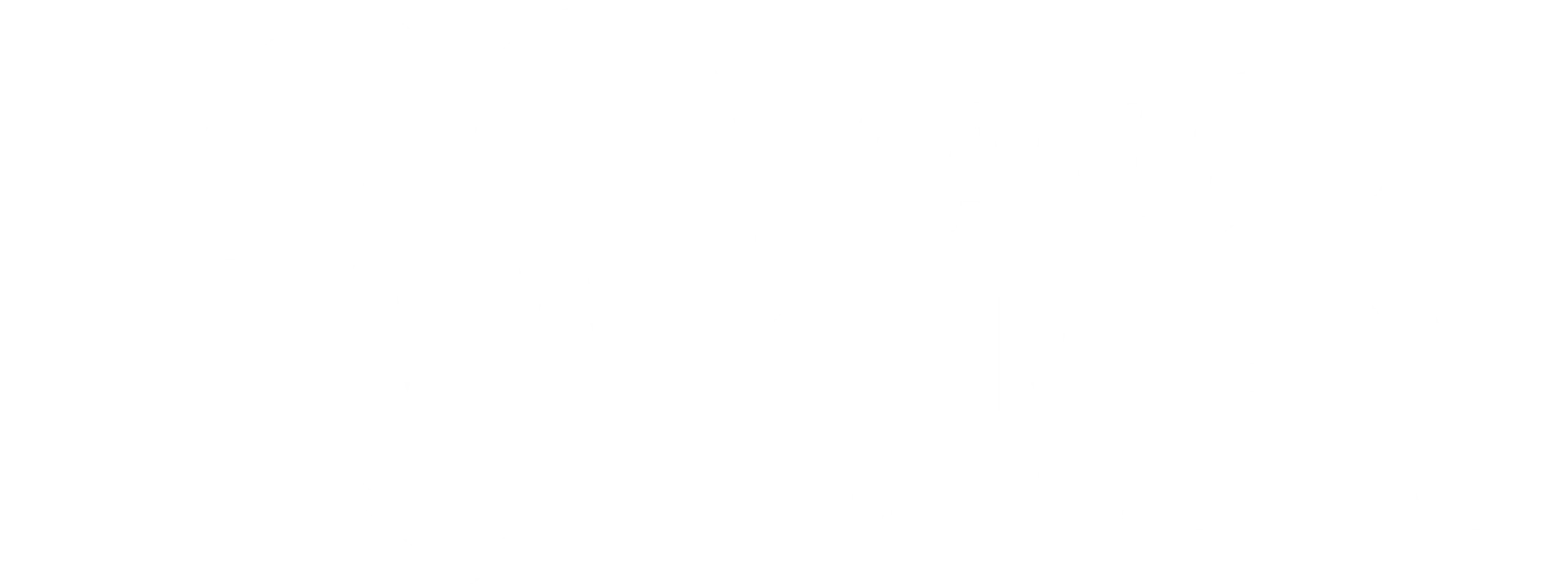 logo-sante-du-dirigeant